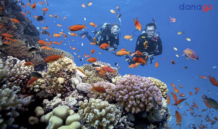 tour lâm đồng đà nẵng tour lâm đồng đà nẵng