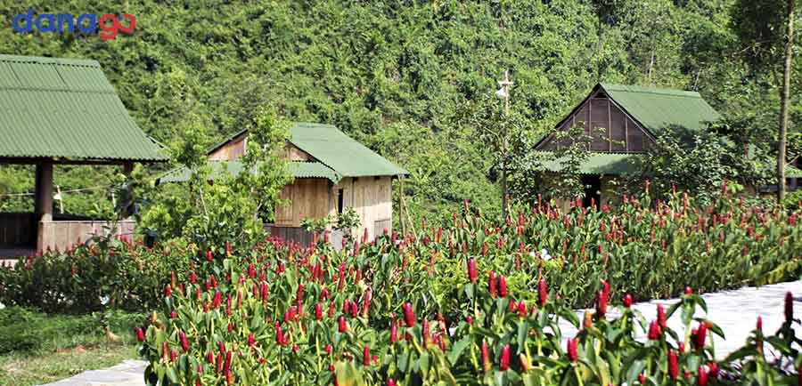 tour long an đi đà nẵng 4 ngày tour long an đi đà nẵng 4 ngày